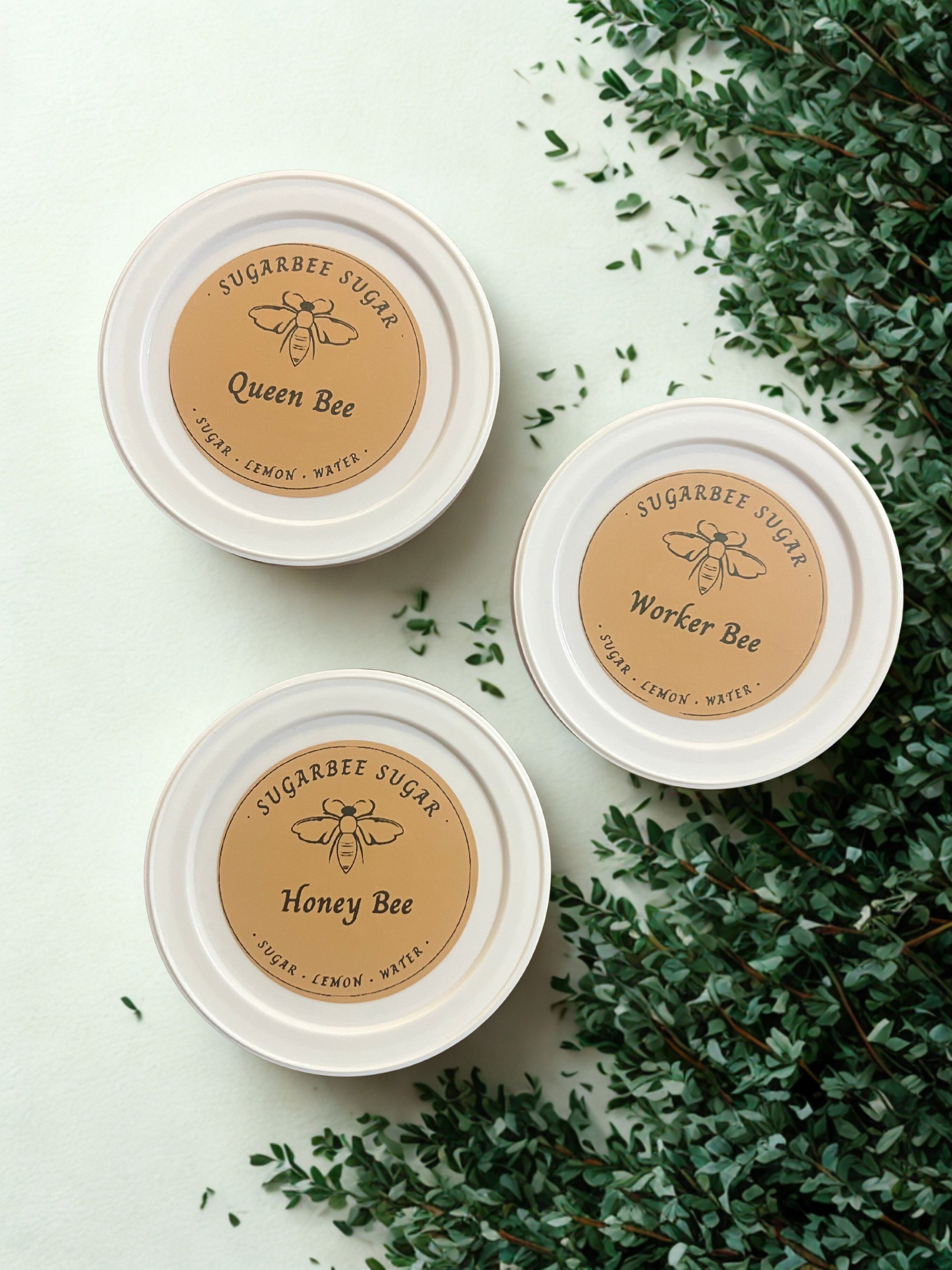 Samples & Starter Kits